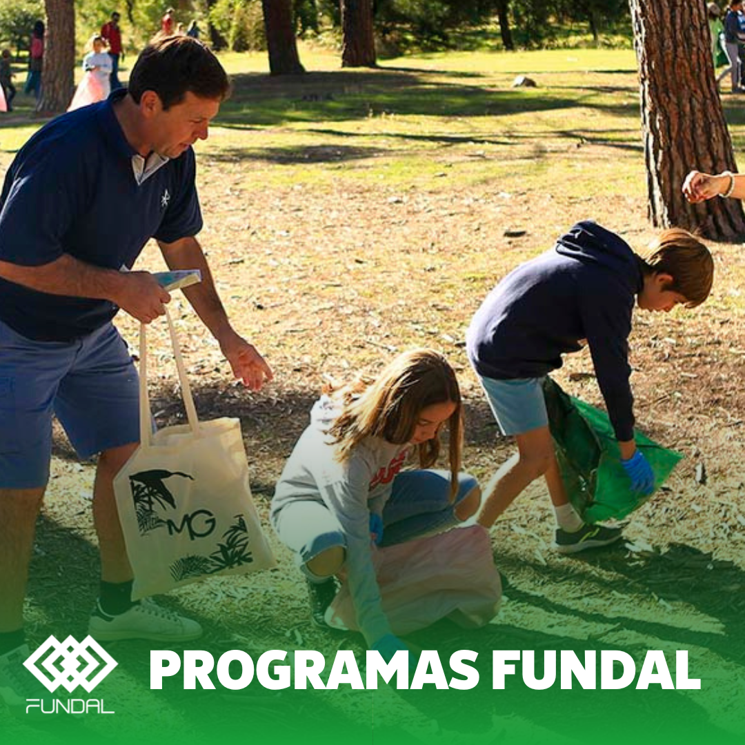 Programas Fundal Estructura Programas Fundal 2